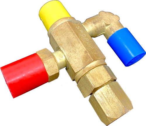 IMG_5456.png