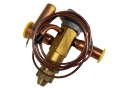 IMG_6891.png