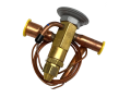 IMG_6909.png