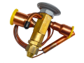 IMG_6885.png