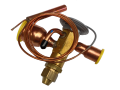 IMG_6889.png