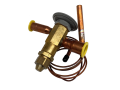 IMG_6879.png