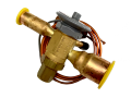 IMG_6913.png
